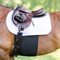 Equifit BellyBand Plus Spur Protector