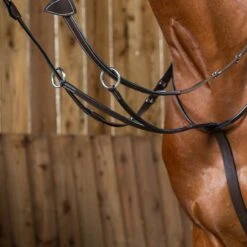 Dyon Raised Running Martingale With Stainless Fittings