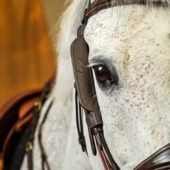 Dyon “Focus” Blinkers