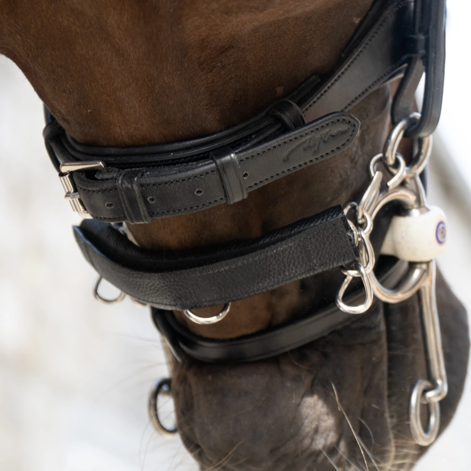 Dyon Curb Chain Cover 2 Dyon Curb Chain Cover - Image 2