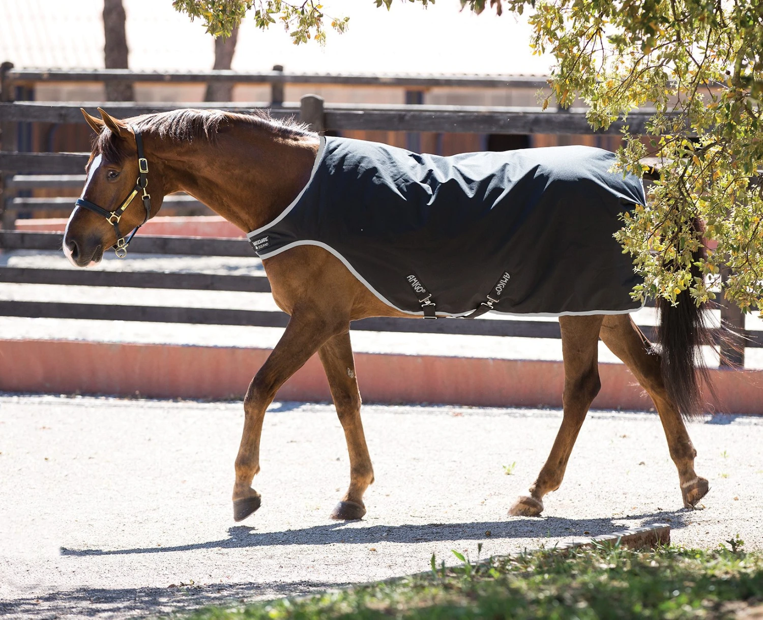 Amigo Walker Rug 200g By Horseware Ireland 1 Amigo Walker Rug 200g By Horseware Ireland