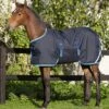 Amigo Ripstop Foal 200g Rug HW