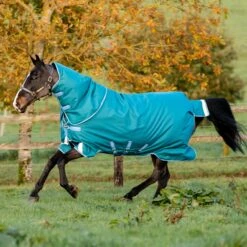 Horseware Amigo Bravo Plus Heavy Turnout 400g