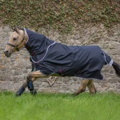 Amigo Bravo12 Pony Plus Heavy 400g Turnout By Horseware Ireland