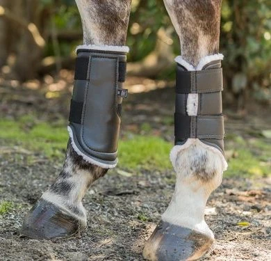 EuroPro Askan Hind Boot 1 EuroPro Askan Hind Boot