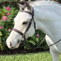 Belle And Bow Sugarbrook Wide Noseband Bridle With Reins
