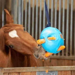 Carrot Ball Treat Holder