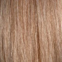 Champion Tail Extension Light Flaxen No 5