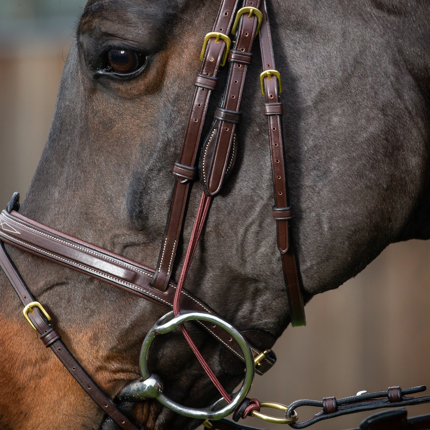 Dyon Rope Gag Cheeks With Brass Fittings 1 Dyon Rope Gag Cheeks With Brass Fittings