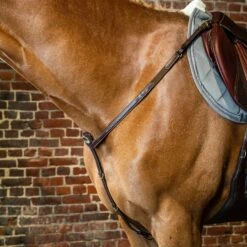 Dyon Fancy Breastplate W/Brass Fittings