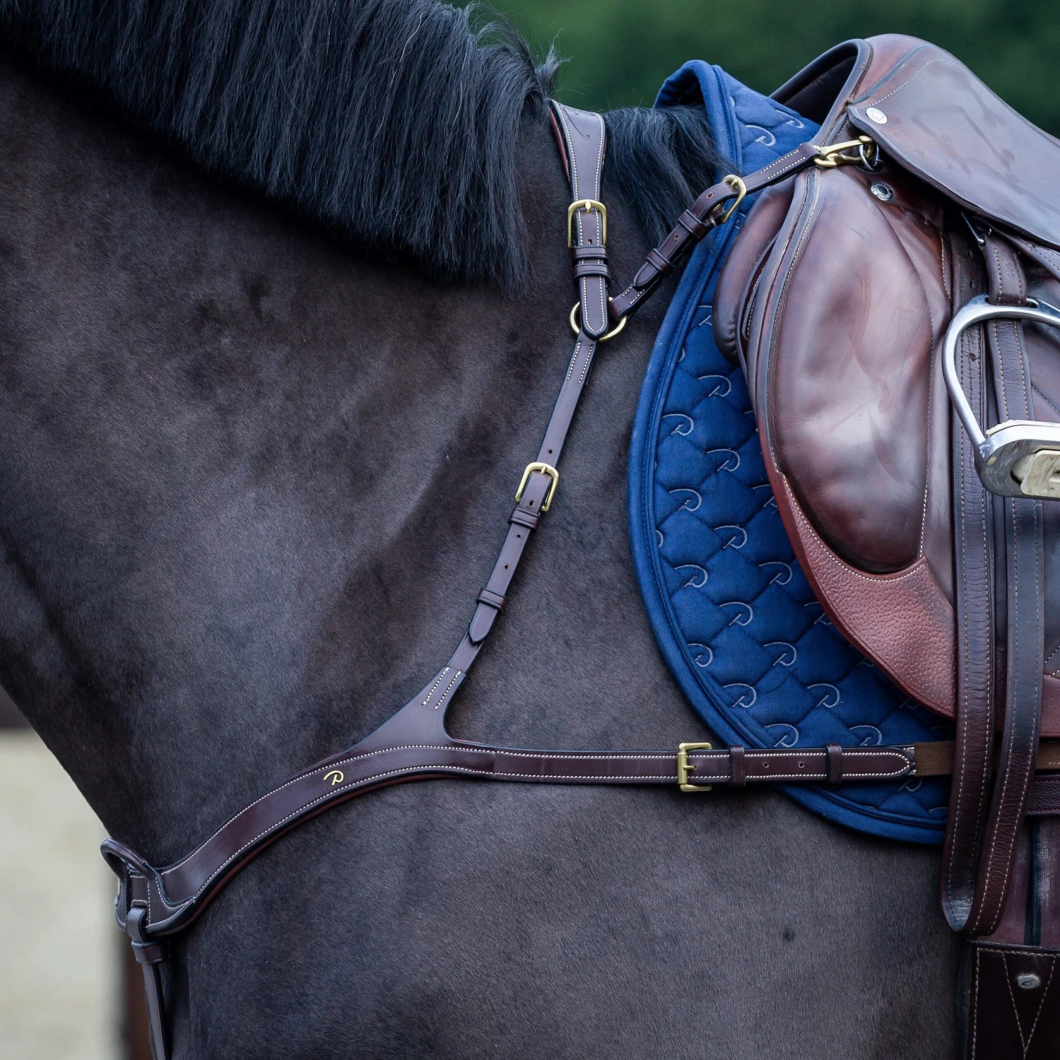 Dyon Anatomic Breastplate 1 Dyon Anatomic Breastplate