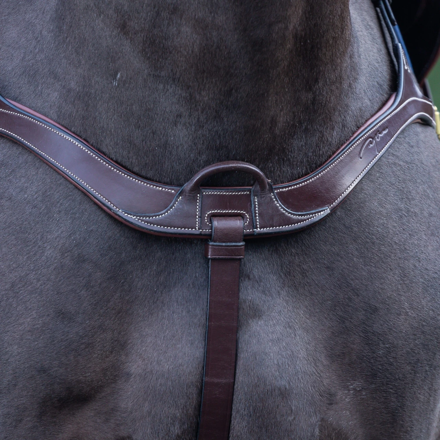 Dyon Anatomic Breastplate 2 Dyon Anatomic Breastplate - Image 2