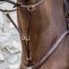Dyon Running Martingale Attachment-Brass