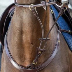 Dyon Elastic Running Martingale Attachment- Brass