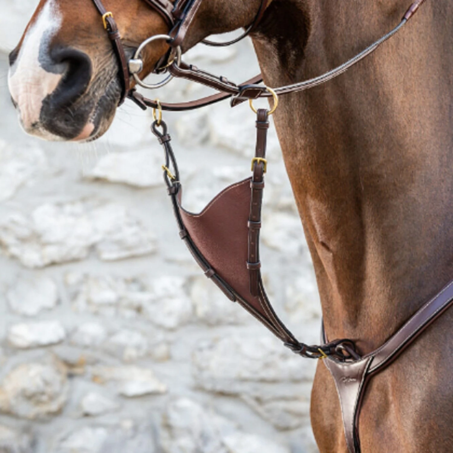 Dyon Irish Martingale Attachment- Brass 1 Dyon Irish Martingale Attachment- Brass