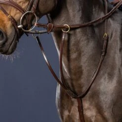 Dyon Raised Running Martingale With Brass Fittings