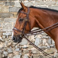 Dyon 1/2″ Draw Reins