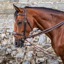 Dyon 5/8″ Leather & Rope Draw Reins