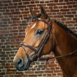 Dyon Flash Noseband Bridle W/Removable Flash