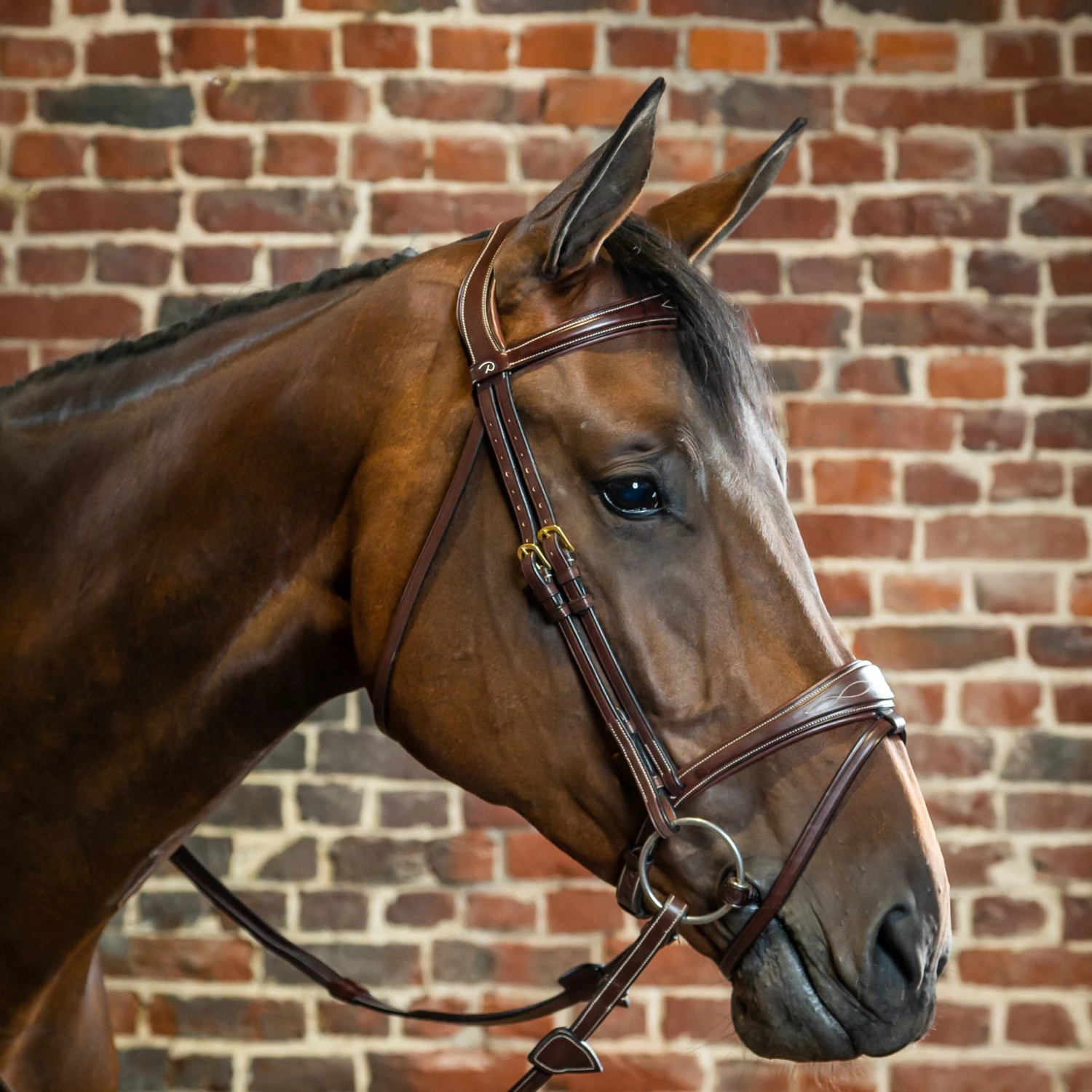 Dyon Anatomical Brass Flash Noseband Bridle 1 Dyon Anatomical Brass Flash Noseband Bridle