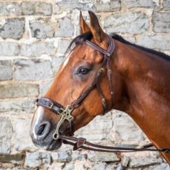 Dyon Hackamore Bridle Brass