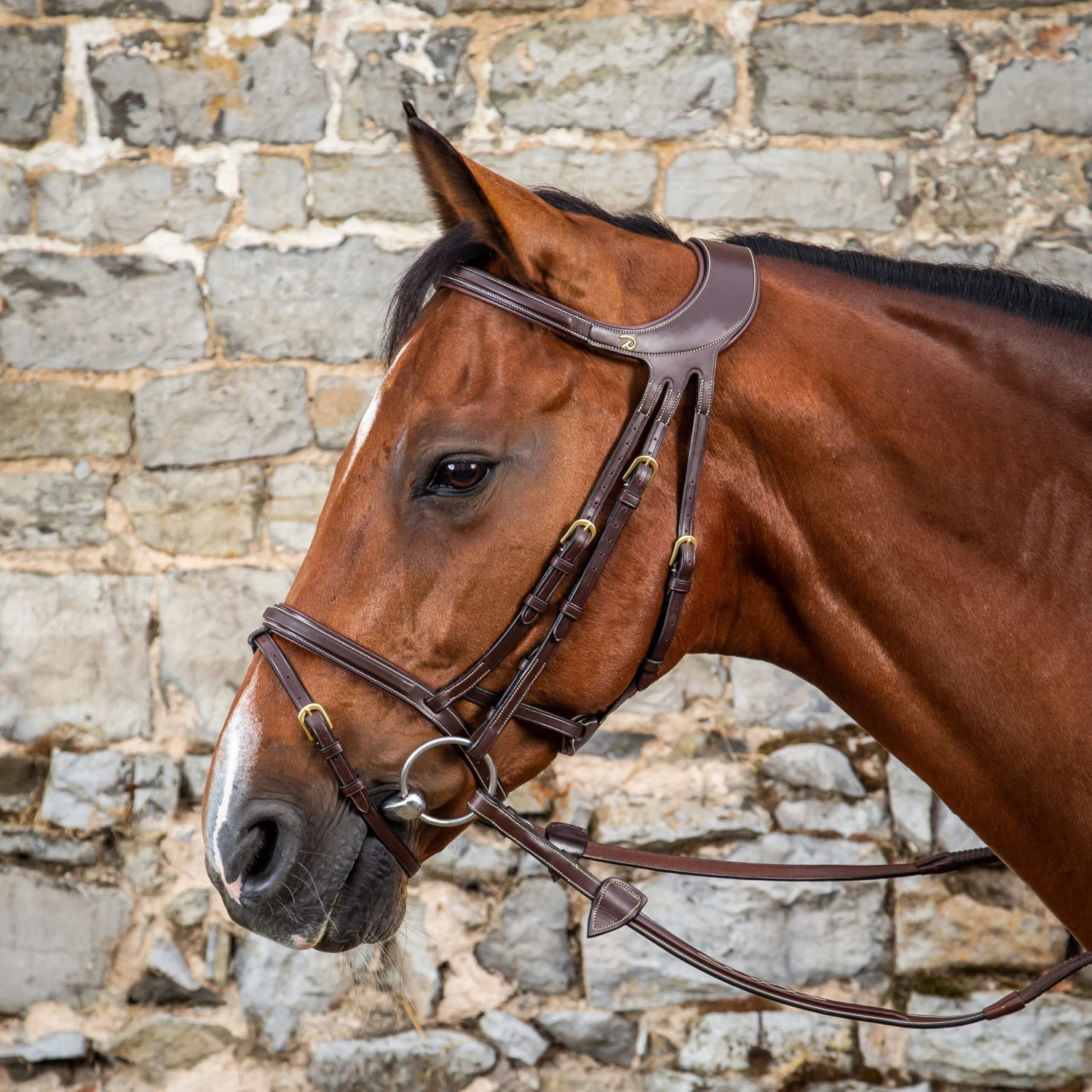 Dyon Difference Flash Noseband Bridle 1 Dyon Difference Flash Noseband Bridle