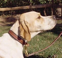 Padded Dog Collars By Tory Leather