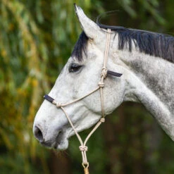 Dyon Rope Training Halter