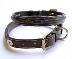 Dyon Raised Fancy Stitched Dog Collar