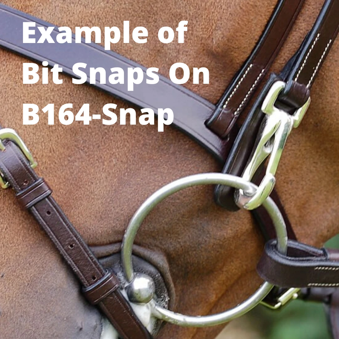 Dyon Working Flash Regular Or Snap Bridle 4 Dyon Working Flash Regular Or Snap Bridle - Image 4