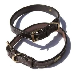 Dyon Flat Dog Collar