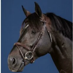 Dyon Flash Noseband Bridle US Collection
