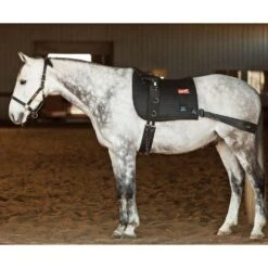 Equicore Equiband Complete System -Equestrian Supply Store Equiband Lunging