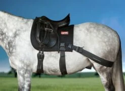 Equicore Equiband Complete System