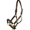 HDR Advantage Padded Halter
