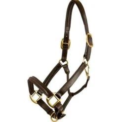 HDR Advantage Padded Halter