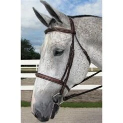 HDR Pro Mono Crown Padded Fancy Stitch Bridle