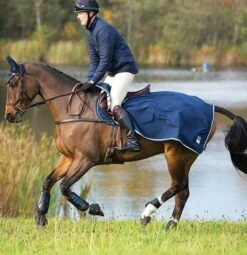 Rambo Waterproof Fleece Quarter Sheet By Horseware