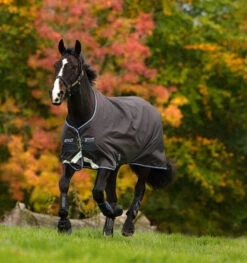 Amigo Pony Lite Turnout By Horseware Ireland