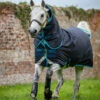 Amigo Bravo 12 Pony Plus 250g Medium Turnout