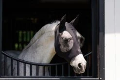 EquiFit Essential Fly Mask -Equestrian Supply Store IMG 9845