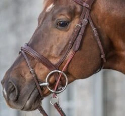 Dyon Rope Gag Cheeks With Stainless Fittings