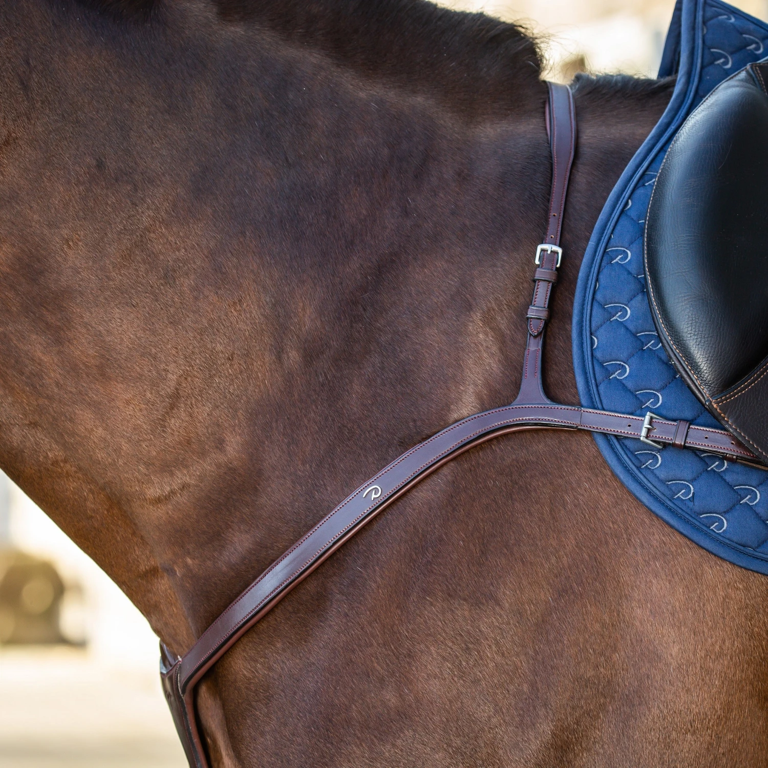 Dyon Long Bridge Anatomic Breastplate 1 Dyon Long Bridge Anatomic Breastplate