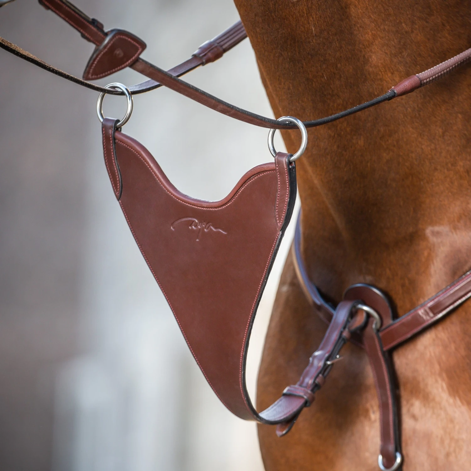 Dyon Bib Martingale Attachment 1 Dyon Bib Martingale Attachment