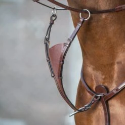 Dyon Irish Martingale Attachment- Stainless Steel