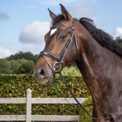 Dyon Dressage Medium Crank Noseband Bridle