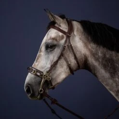 Dyon Hackamore Bridle Stainless Steel
