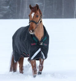 Rambo Wug Heavy 400g Turnout