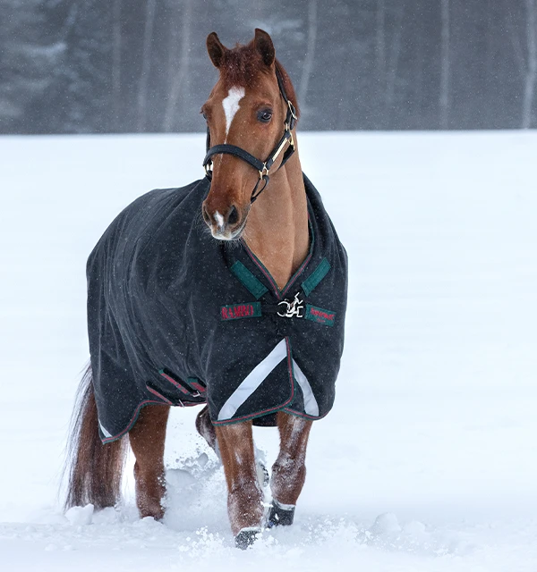 Rambo Wug Heavy 400g Turnout 1 Rambo Wug Heavy 400g Turnout