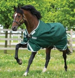 Rambo Original Leg Arches Lite Turnout 0g